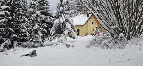 Natural landscape, Winter