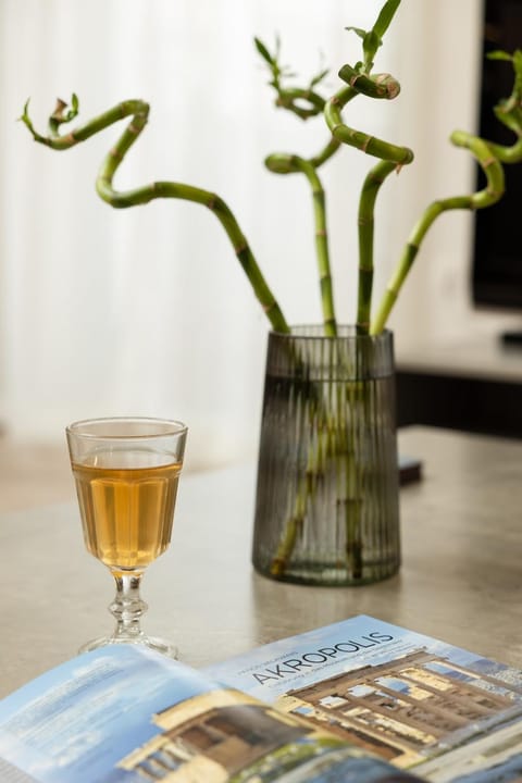 Sunny Athenian Apartment Apartment in Kallithea