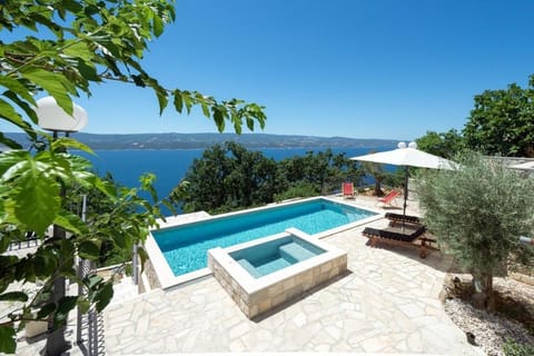 Lovely Villa With Heated Pool and Sea View for 8 Persons Villa in Split-Dalmatia County