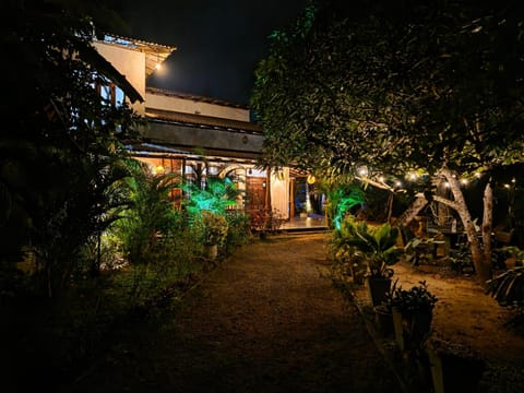 Property building, Night, Garden, Garden view