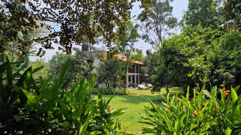 Natural landscape, Garden, Garden view