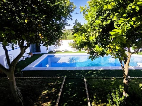 Garden, Swimming pool