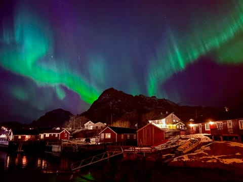 Lofoten Resort og rorbuer Nature lodge in Lofoten