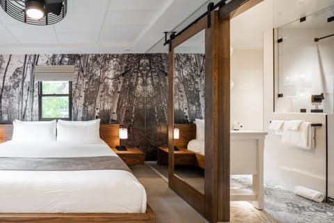 2 Private Flats Downtown - Walk to EVERYTHING House in Bozeman