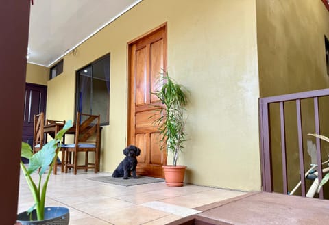 Seating area, Pets
