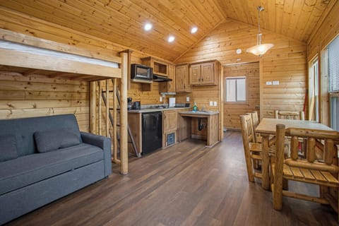 Kitchen or kitchenette, Living room, Seating area, Dining area, pet friendly, stove