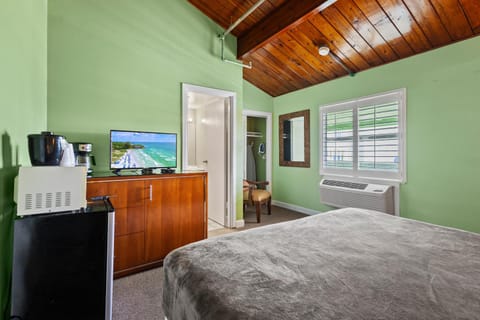 Bed, TV and multimedia, Coffee/tea facilities, Photo of the whole room, Bedroom, microwave