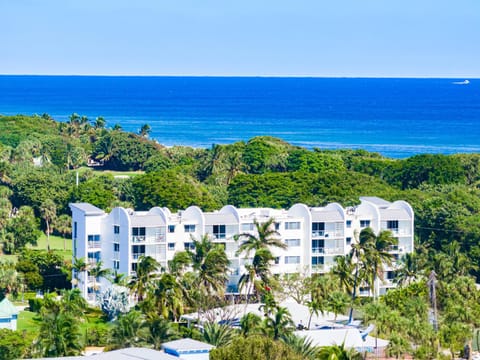 Property building, Bird's eye view