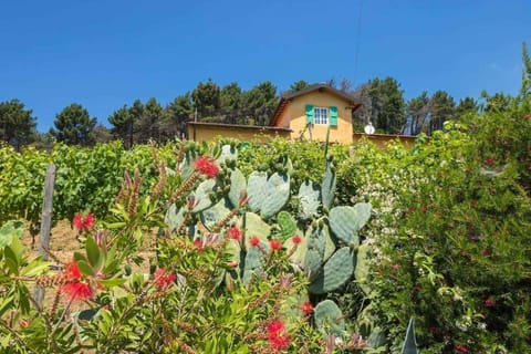 Casale Monaco by Nicola Real Estate House in Emilia-Romagna