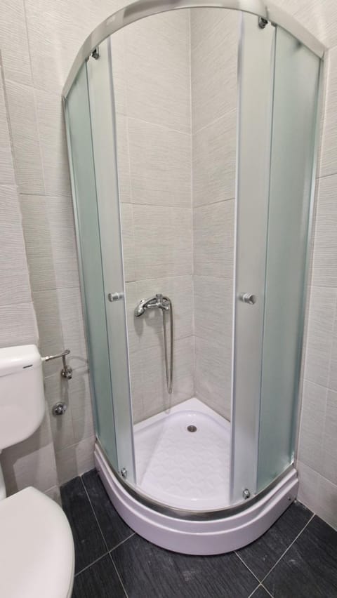 Nina apartments Apartment in Timiș County