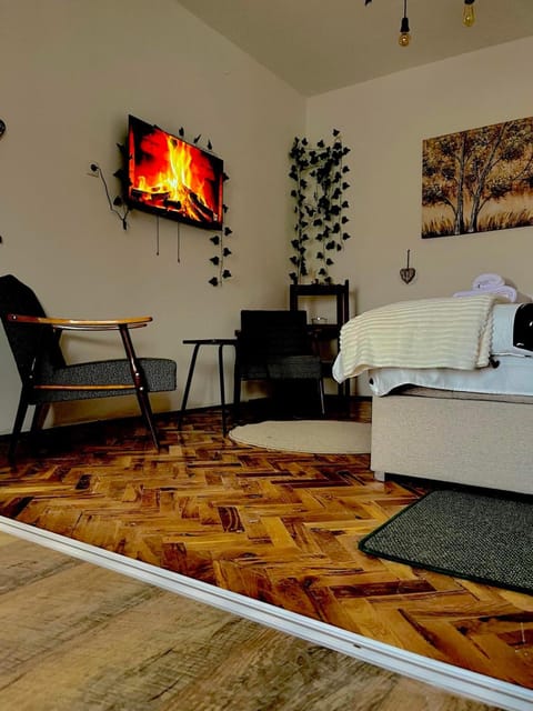 Royal castle Fruska gora Villa in Vojvodina