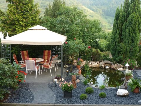 Garden, Balcony/Terrace