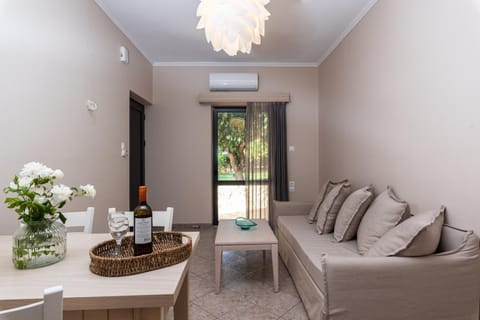 Living room, air conditioner