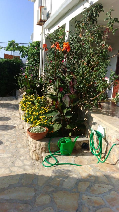 Garden, Garden view