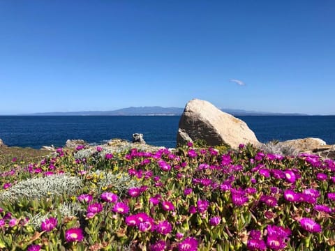 Relaxing Cristal Blu 1Bedroom Apartment B5 sleeps5 Apartment in Santa Teresa Gallura