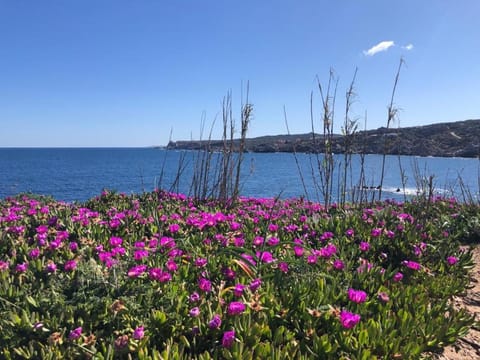 Relaxing Cristal Blu 1Bedroom Apartment B5 sleeps5 Apartment in Santa Teresa Gallura