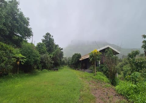 Natural landscape