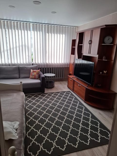 Butas KOMPaktiškas Apartment in Kaliningrad Oblast, Russia