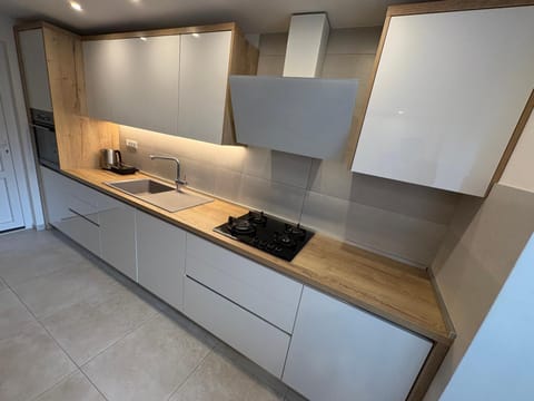 Coffee/tea facilities, Kitchen or kitchenette, minibar, stove, toaster