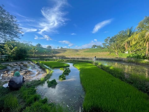 Natural landscape