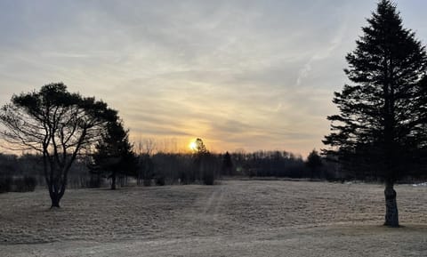 Rifle River Lodge House in Michigan