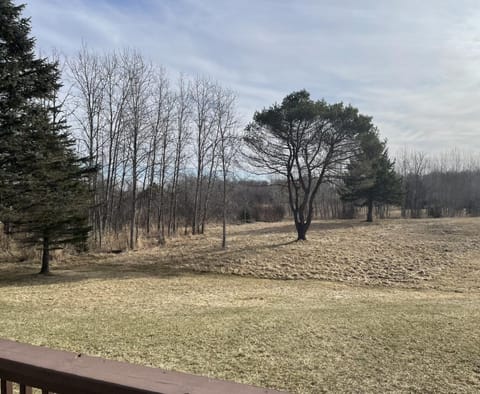 Rifle River Lodge House in Michigan