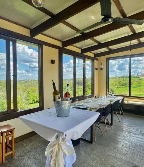 Vino & Vista Villa in Vojvodina