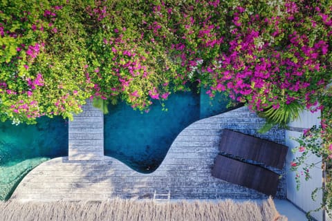 Bird's eye view, Garden, View (from property/room), Garden view, Swimming pool