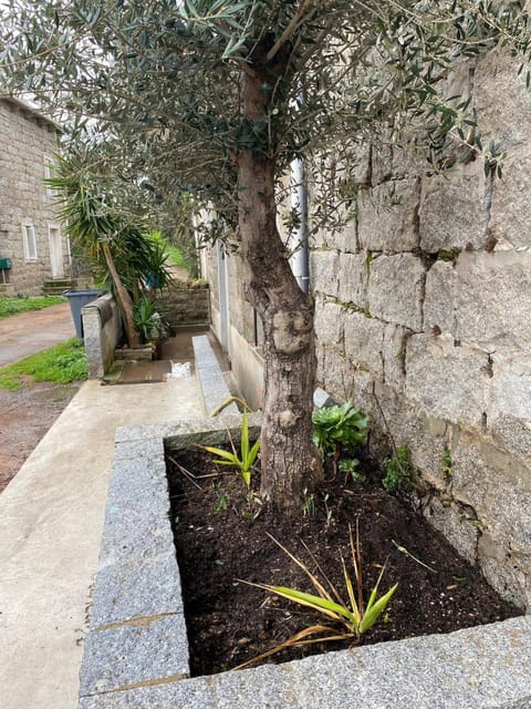 Maison de charme Villa in Bonifacio