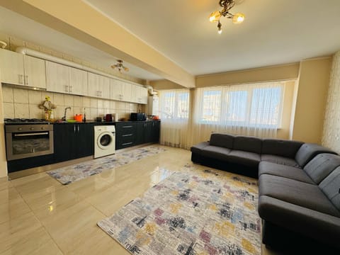 Kitchen or kitchenette, Living room, Seating area, Dining area, oven, washing machine