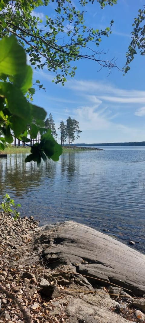Villa Iltaranta - Cottage on the shore of Lake Saimaaa Apartment in Finland