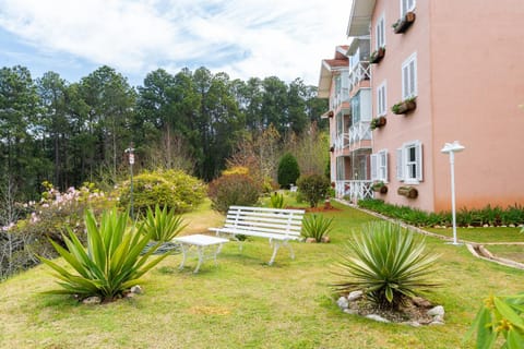 Property building, Garden, Garden view