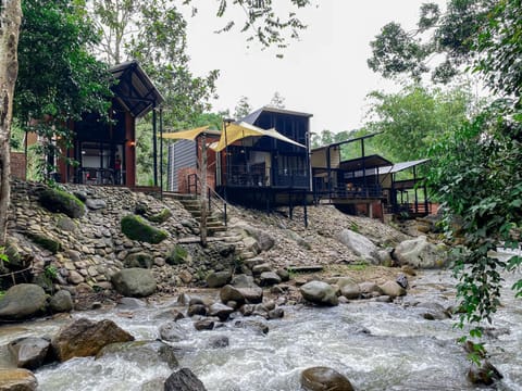 Natural landscape, River view