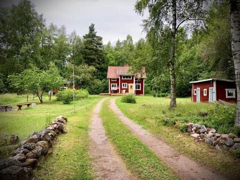 Natural landscape, Summer, Garden, Garden view, Parking