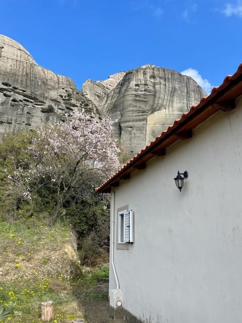 Rock in the yard Apartment in Kalabaka