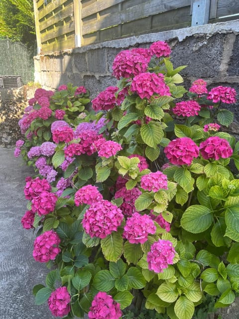Maison bord de Seine Bed and Breakfast in Rouen