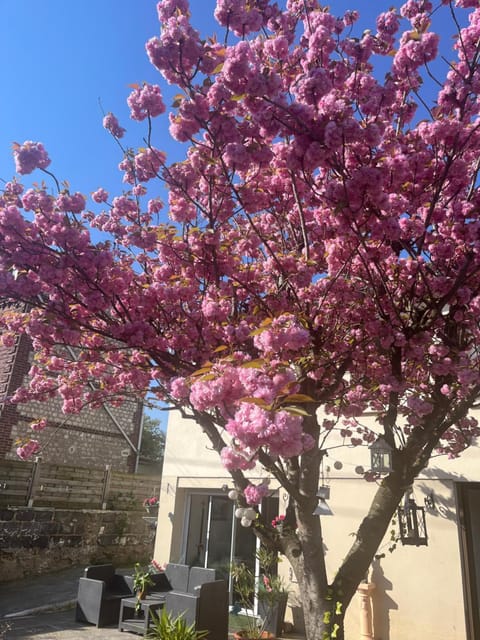 Maison bord de Seine Bed and Breakfast in Rouen