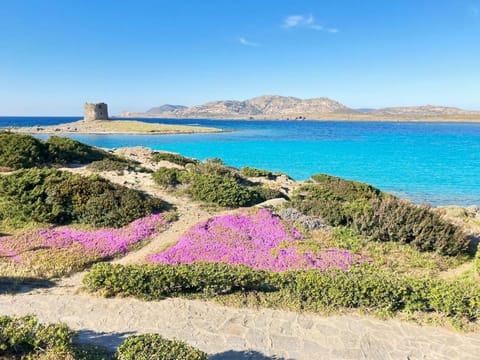 Nearby landmark, Beach