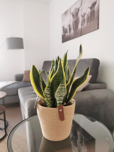 Stevenson Apartment in Oban City Apartment in Oban