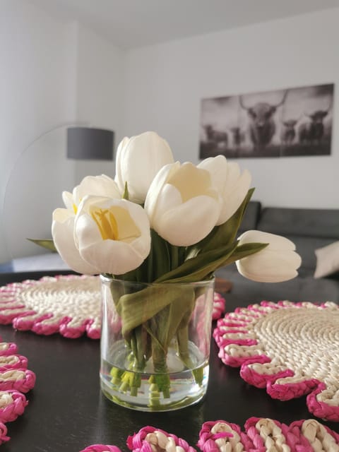 Stevenson Apartment in Oban City Apartment in Oban