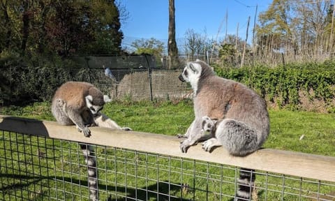 Elbeuf city House in Normandy