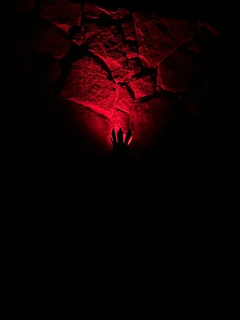 Castle of Vibes - Hostel Hostel in Santa Teresa