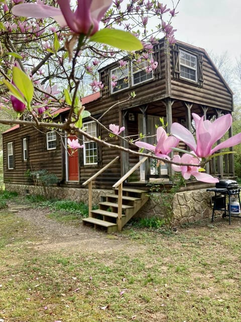 Sunnybrook Cabin, wooded, private with stream, near ATV trails Cabin in Arkansas