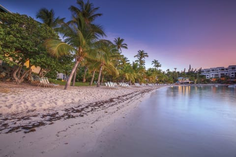 Elysian Beach Resort Apartment in Virgin Islands (U.S.)