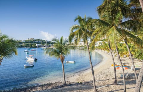 Elysian Beach Resort Apartment in Virgin Islands (U.S.)