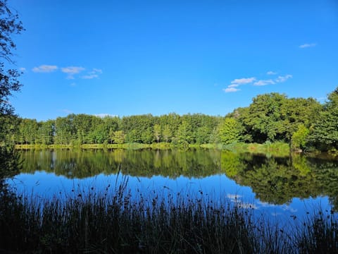 Natural landscape, Garden, Lake view