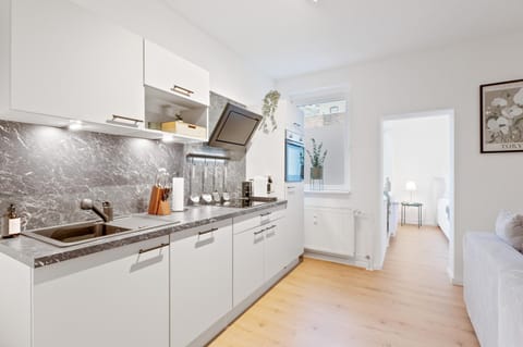 Kitchen or kitchenette, dishwasher