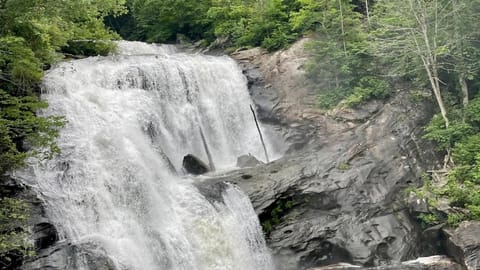 Bear Track on Tellico River House in Tennessee