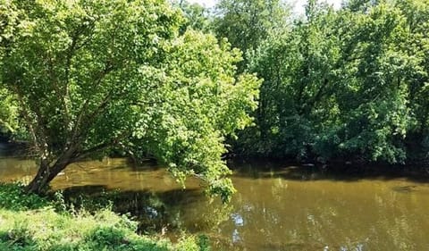 Bear Track on Tellico River House in Tennessee