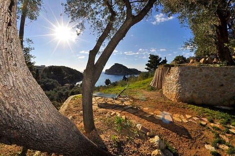 Garden, Sea view
